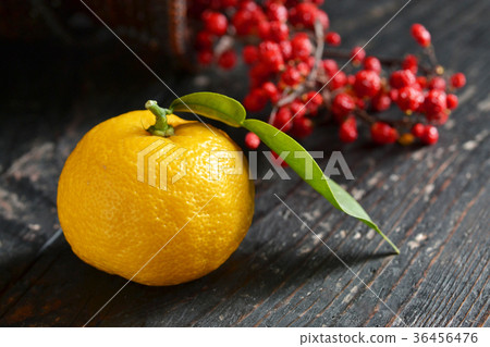 Yuzu dumpling hot spring 36456476