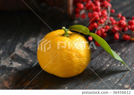 Yuko Yuzu熱水 36456612