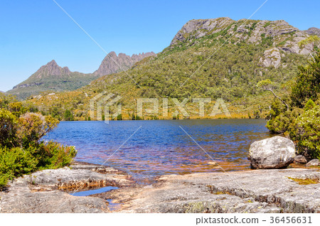 Lake Lilla and  Cradle Mountain - Tasmania 36456631