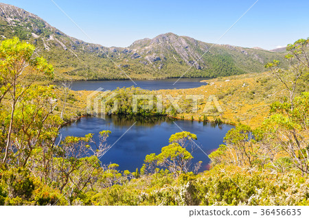 Lake Lilla and Dove Lake - Cradle Mountain Lake Lilla and Dove Lake - Cradle Mountain 36456635