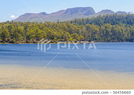 Lake St Clair - Tasmania Lake St Clair - Tasmania 36456660