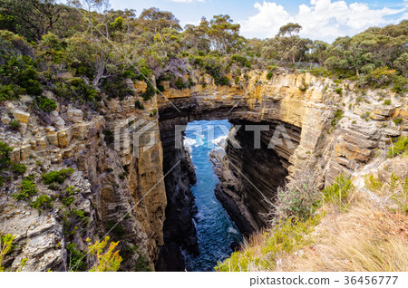 Tasman Arch - Eaglehawk Neck Tasman Arch - Eaglehawk Neck 36456777