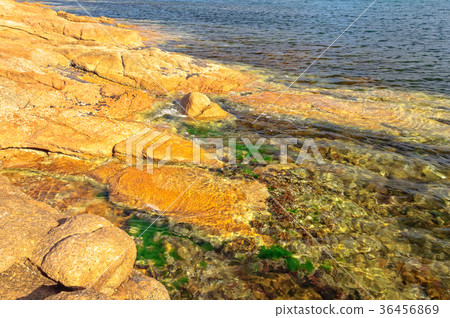 Colourful canvas of nature - Coles Bay 36456869