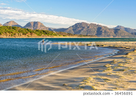 Nine Mile Beach - Swansea 36456891