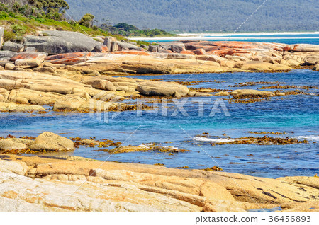 Water, shrubs and rocks - Bicheno 36456893