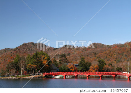 赤城大沼和赤城神社 赤城大沼和赤城神社 36457067