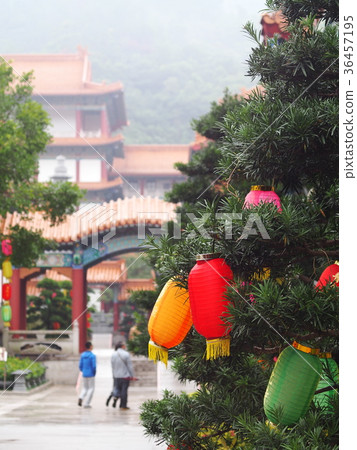 paper lamp lantern chinese style hanging on a tree 36457195