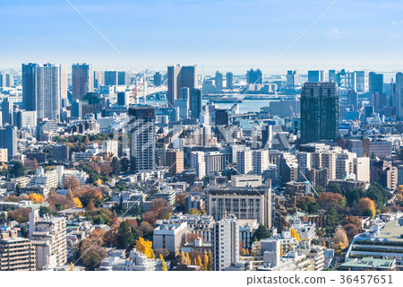 Tokyo Bay Area Tokyo Bay Area 36457651