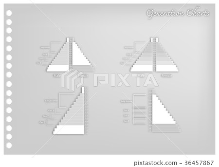 Population Pyramids Graphs with 4 Generation Population Pyramids Graphs with 4 Generation 36457867