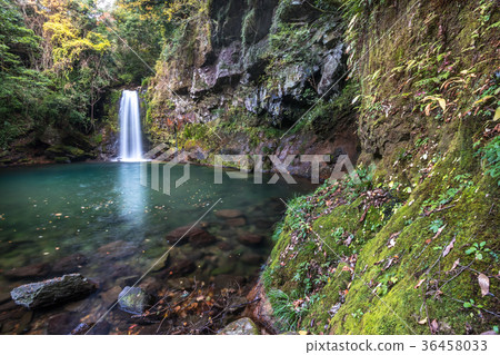 Tollet Fall @ Isahaya,長崎縣 Tollet Fall @ Isahaya,長崎縣 36458033