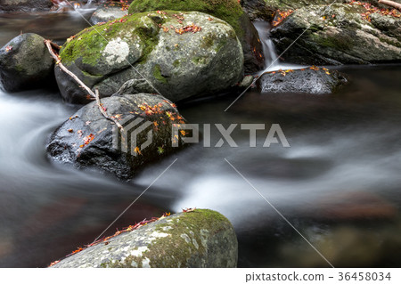 Tollet Fall @ Isahaya,長崎縣 Tollet Fall @ Isahaya,長崎縣 36458034