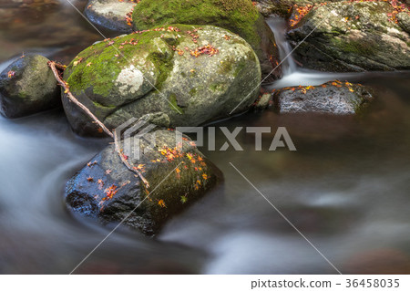 Tollet Fall @ Isahaya，長崎縣 36458035