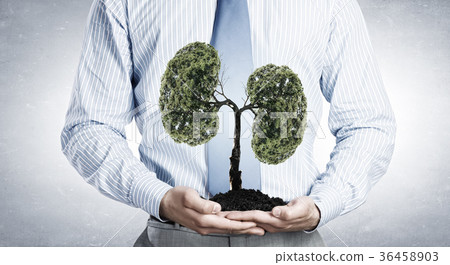Green tree in soil 36458903