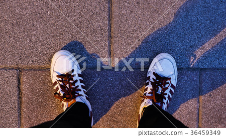 休閒 影子 夜 散步 36459349