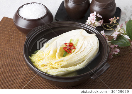kimchi, which is a globally recognized healthful food 173 36459629