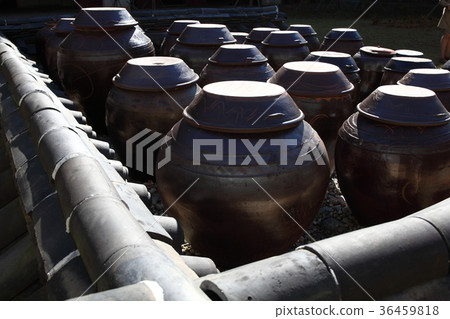 韓國,全羅南道,光州,泡菜博物館 韓國,全羅南道,光州,泡菜博物館 36459818