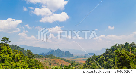 Forest landscape at Khao Yai national park Forest landscape at Khao Yai national park 36460264