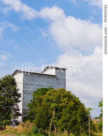Condo for swallow nest in Pak Phanang district 36460282