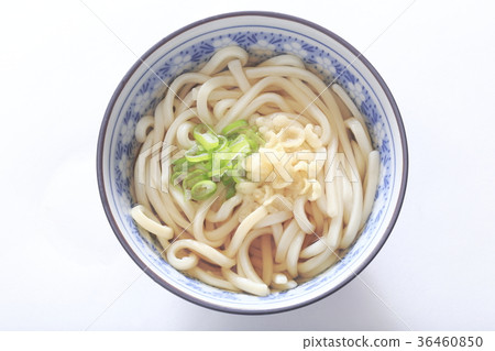 Kake Udon Sanuki 36460850