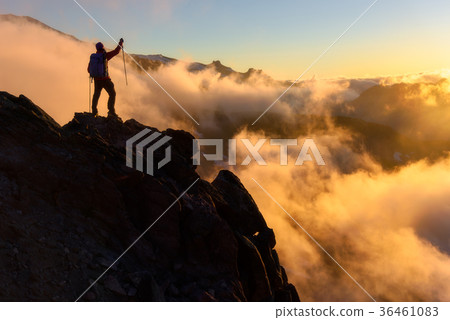 Summit climber at Mount Rainier National Park 36461083