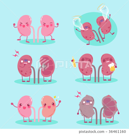 kidney with healthy problem 36461160