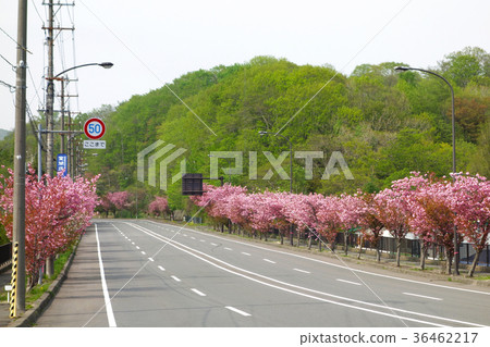 Noboribetsu Onsen Do Yaezakura Noboribetsu Onsen Do Yaezakura 36462217