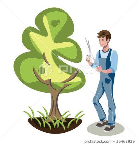 Gardener s man is cutting a bush. 36462929