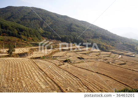 Jeonbuk Province, Namwon City, Jiri Mountain, 36463201