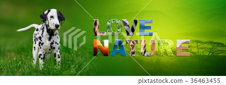 Dog with text Love Nature Dog with text Love Nature 36463455