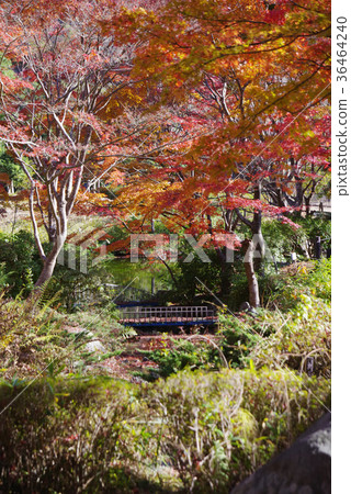 Miho dam open space 36464240
