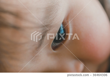 eyes, eye, younger 36464306