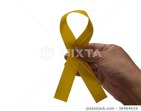Human hands holding yellow ribbon awareness Human hands holding yellow ribbon awareness 36464658