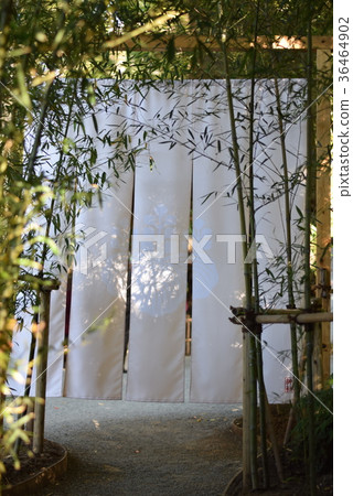 Kinomiya Shrine Approach 36464902