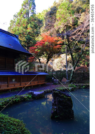 秋葉的內部神社 秋葉的內部神社 36465456