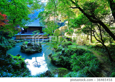 秋葉的內部神社 秋葉的內部神社 36465458
