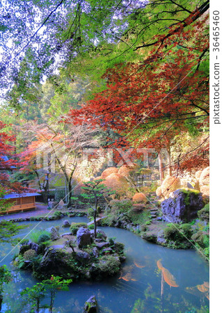 秋葉的內部神社 36465460