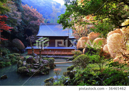 秋葉的內部神社 36465462