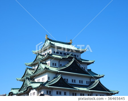 名古屋城堡在深秋 名古屋城堡在深秋 36465645