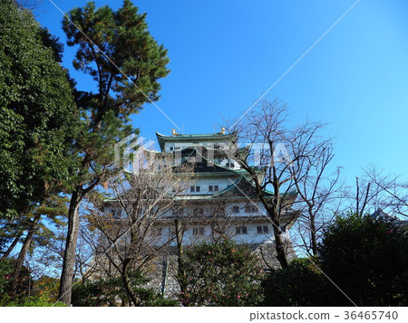 名古屋城堡在初冬 36465740