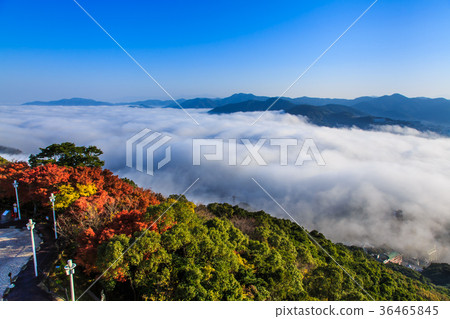 View of the sea of clouds from Mt. Inasa 36465845