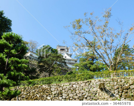 高知城 高知城 36465978
