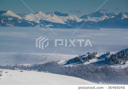 view of the mountain peaks above the clouds 36466048