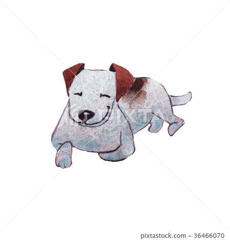 JackRussel terrier dog puppy hand drawing JackRussel terrier dog puppy hand drawing 36466070
