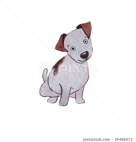 JackRussel terrier dog puppy hand drawing JackRussel terrier dog puppy hand drawing 36466072