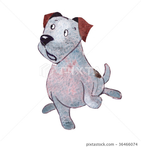 JackRussel terrier dog puppy hand drawing JackRussel terrier dog puppy hand drawing 36466074