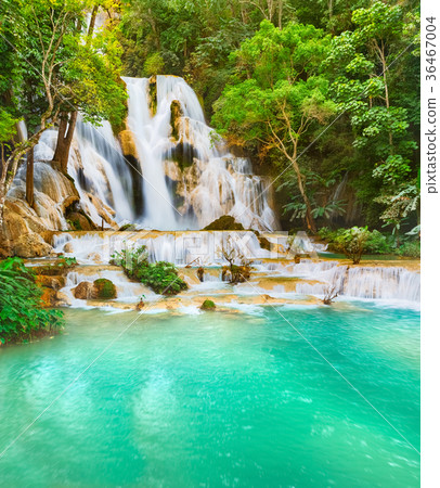 Tat Kuang Si Waterfalls. Beautiful landscape. Laos 36467004
