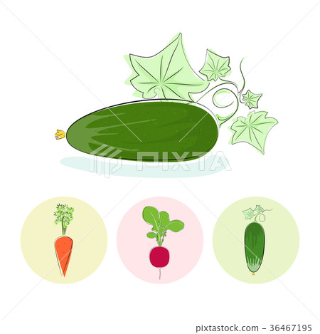 Icons cucumber,carrot,radish 36467195