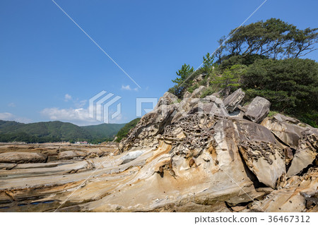 Dragon ski coast 36467312