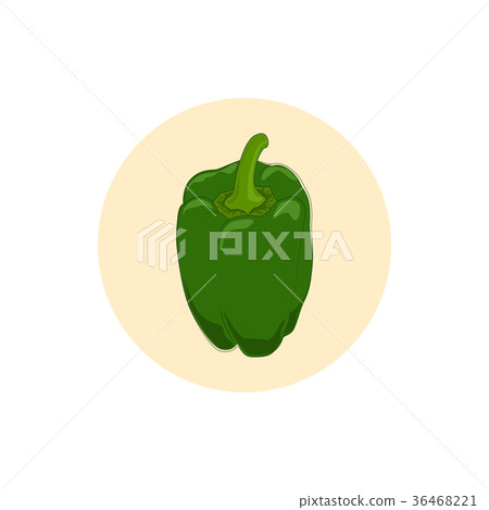 Icon green bell pepper,sweet pepper or capsicum Icon green bell pepper,sweet pepper or capsicum 36468221