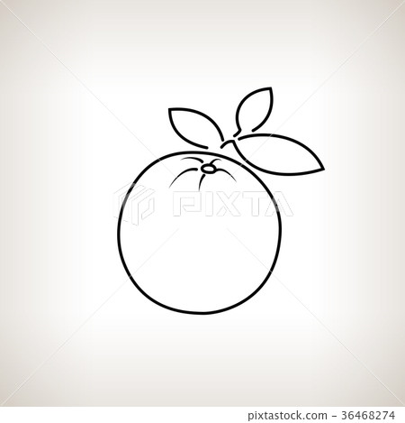 Orange in the Contours 36468274